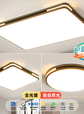 led吸顶灯新款客厅灯简约现代卧室灯餐厅灯中山阳台灯儿童房灯具