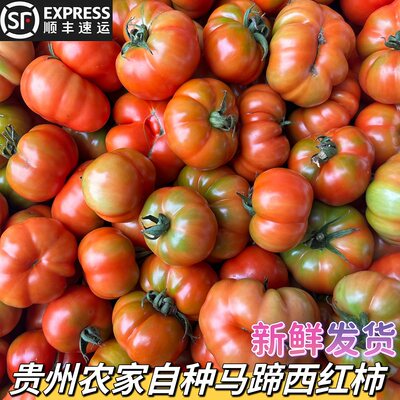 贵州新鲜马蹄番茄顺丰包邮