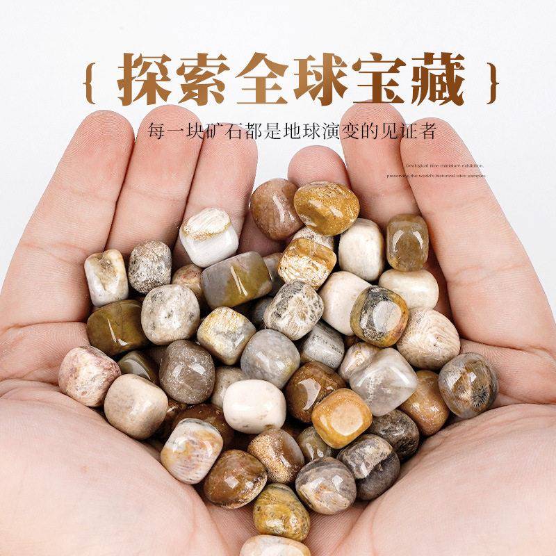 天然珊瑚玉石水晶原石滚石瑜伽石鱼缸造景消磁石碎石摆件天然石