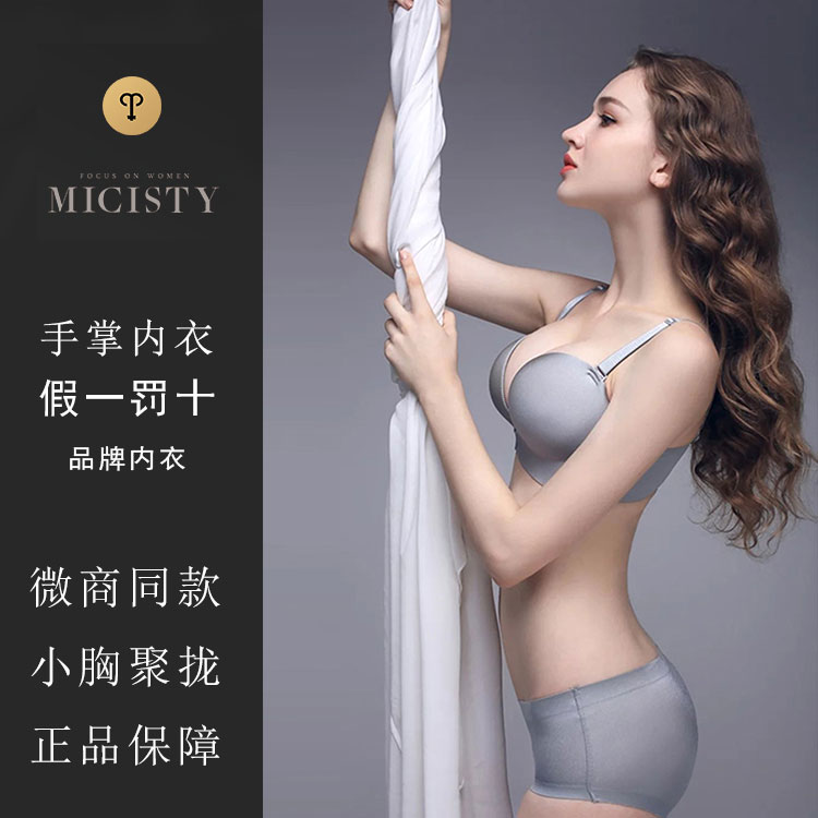 Micisty密汐皙迪新款手掌款内衣聚拢小胸美背文胸套装旗舰店