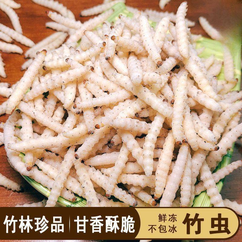 广西油炸竹虫速冻云南竹虫新鲜非鲜活活虫冷冻竹节虫批发竹虫特产