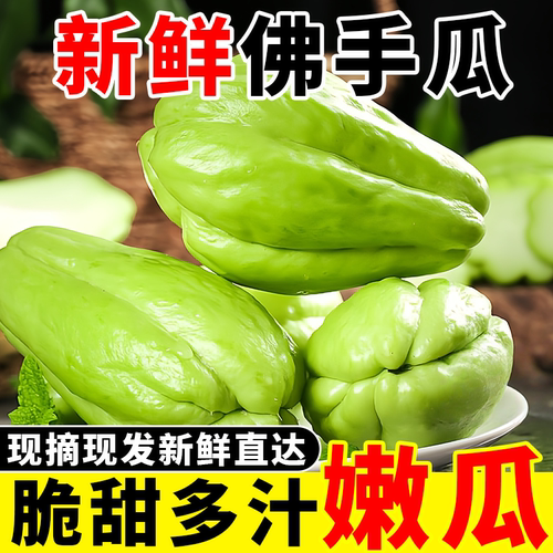 云南现摘佛手瓜福寿瓜新鲜洋捧瓜脆嫩洋寿瓜农家自种家生鲜蔬菜