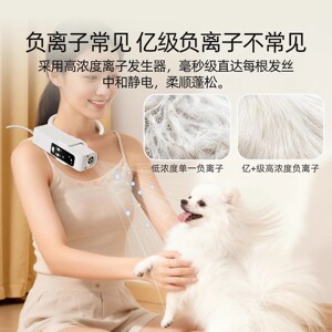 宠物吹毛烘干机大功率静音家用狗狗吹风机中大型犬猫咪小型吹水机
