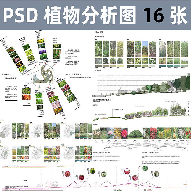 a50景观植物分析图ps农场植物配置种类植被物种分析psd分层素材