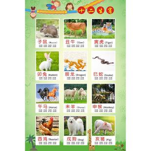 十二生肖动物大海报小鼠牛虎兔龙蛇马羊猴鸡狗猪属相墙贴自粘贴画