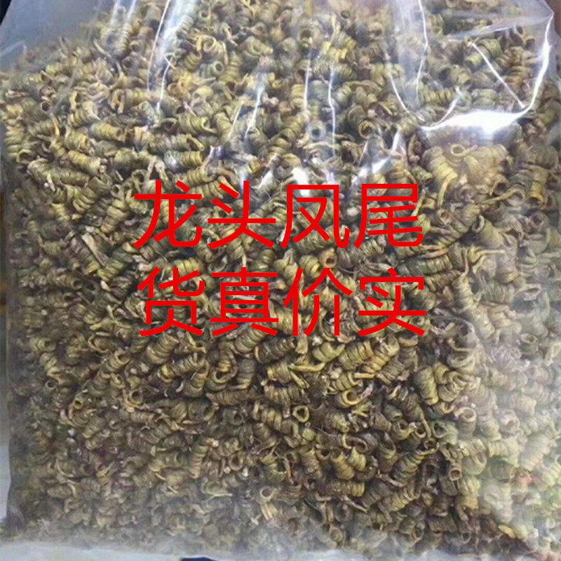霍山直销龙头凤尾太平铁皮石斛