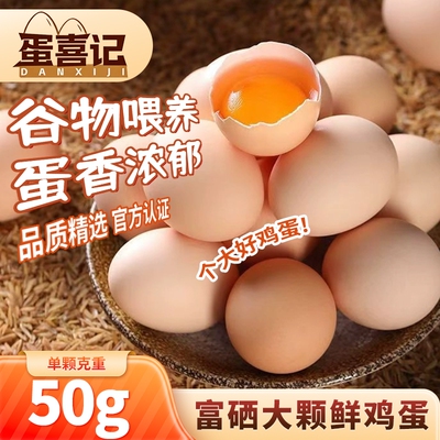 蛋喜记50g鸡蛋农家散养新鲜正宗营养健康产地珍珠棉包装谷物精选
