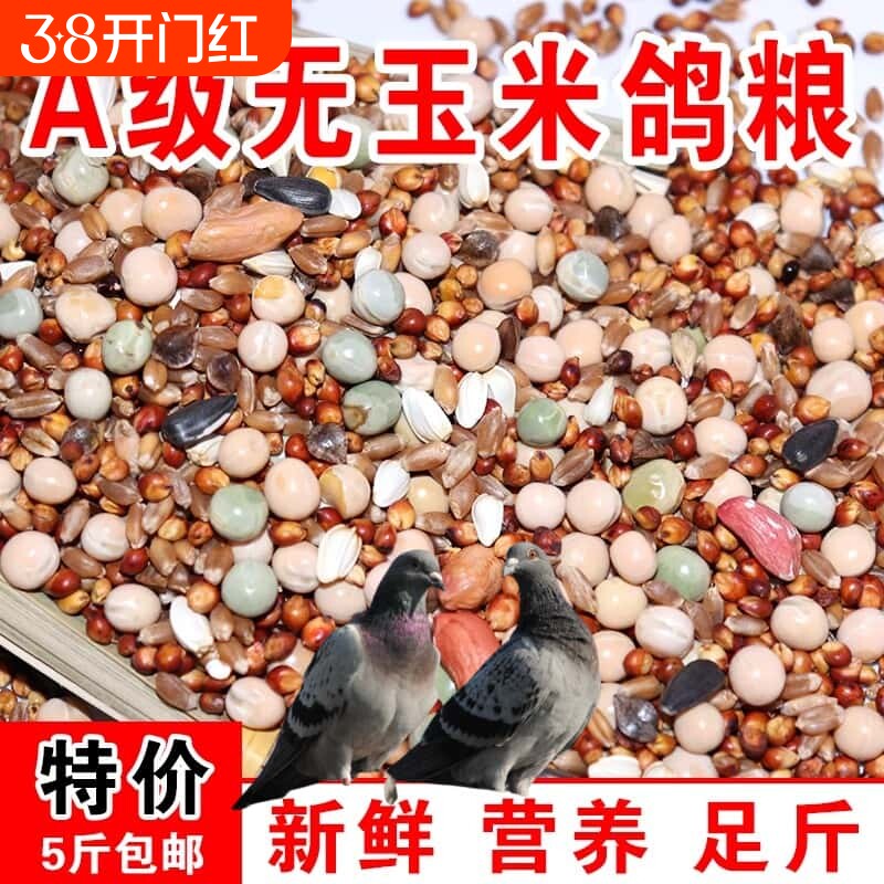 鸽粮50斤优质高粱玉米粒清除鸽子包邮营养饲料小麦无玉米幼鸽粮食