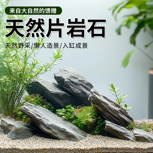 鱼缸造景石原生溪流石主石大块岩片石头底砂天然原石专用龟缸躲避
