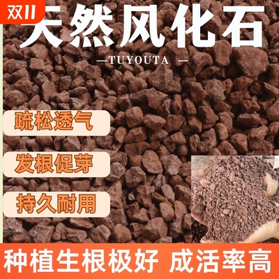 纯天然酸性风化土小叶簕竹金弹子老鸦柿景观盆栽专用透气沥水