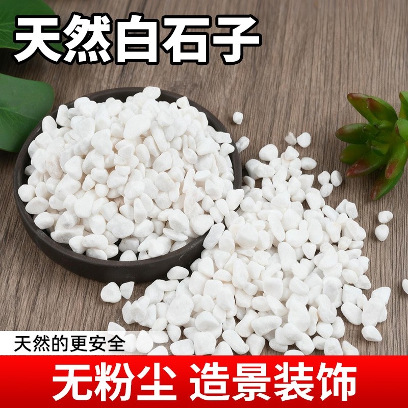 天然精选白石子鱼缸铺底盆栽铺面铺地鹅卵石阳台装饰花园造景石子