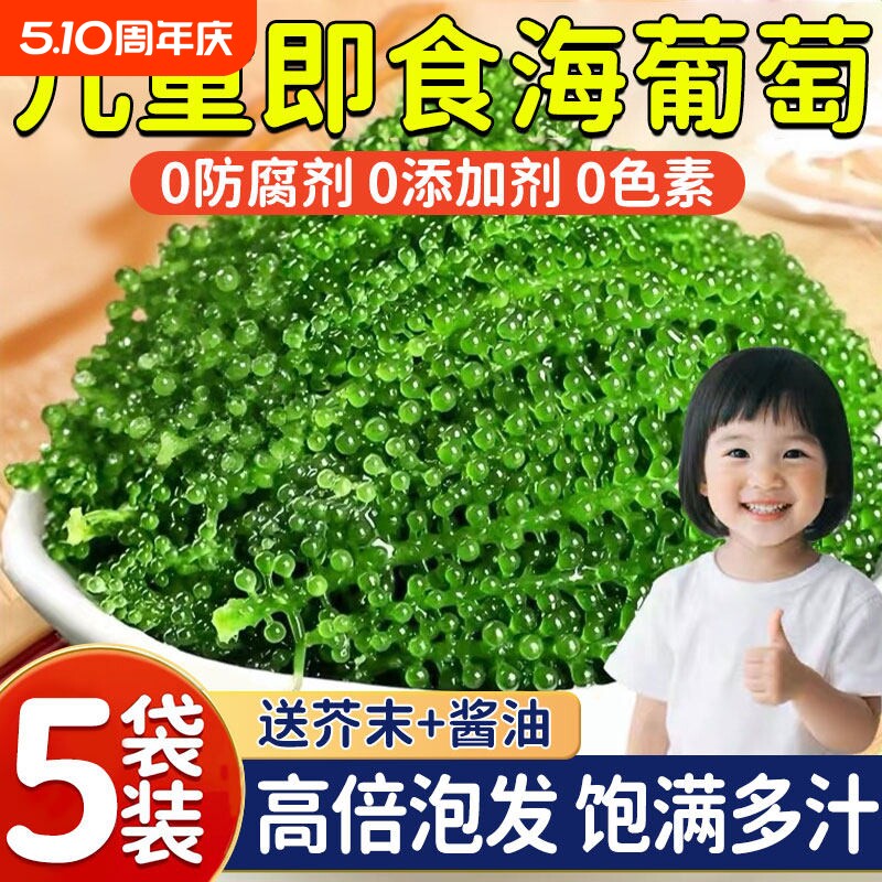 盐渍即食海葡萄新鲜海草海藻海带零食压缩凉拌菜儿童营养健康小吃
