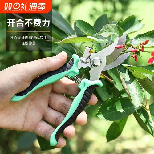 剪树枝剪刀专用花剪园艺园林修枝园丁剪嫁接强力采摘省力修水果树