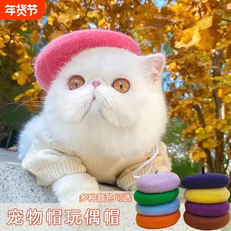 ins风羊毛春夏秋冬款多色贝雷宠物帽子用品画家小狗猫咪装头饰,宠物/宠物食品及用品,帽子,淘宝优惠券,粉丝福利购,淘宝优惠卷