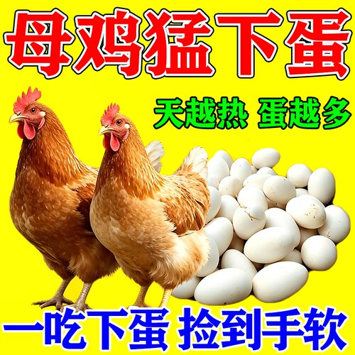 鸡下蛋专用蛋多多增蛋宝鸡鸭鹅鸽专用产蛋灵增蛋素补钙营养鸟食