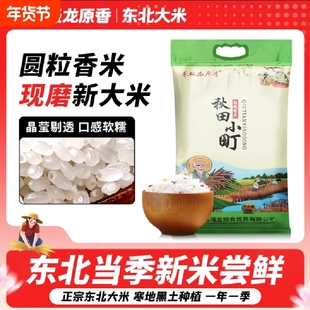 东北大米圆粒香米2025年新米现发秋田小町10斤装真空当季东极现磨