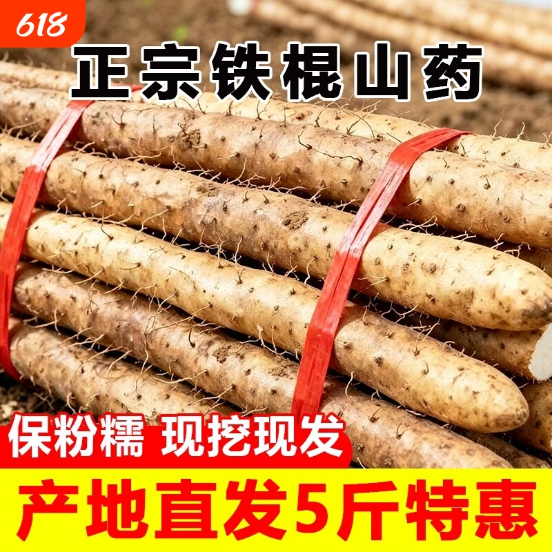 正宗铁棍山药新鲜铁杆淮山药河北小白嘴山药农家自种新货源头直发
