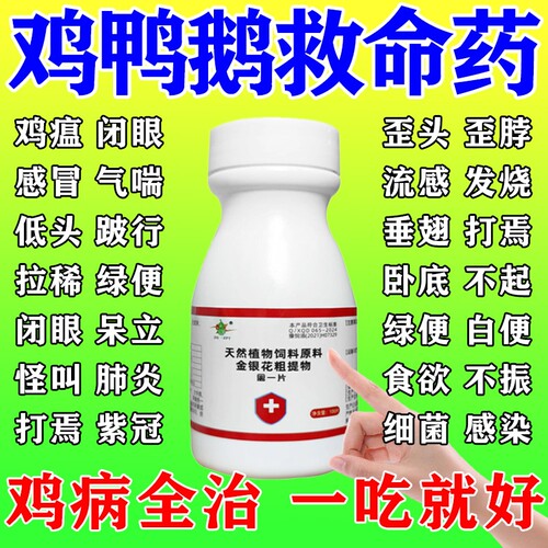鸡病全治养鸡专用鸡呆立不食气喘呼噜伸脖张嘴禽类鸡鸭鹅一片活