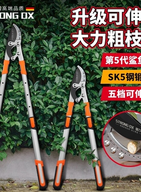 德国进口园林工具剪粗枝剪果树修枝强力树枝剪大力剪省力修剪神器