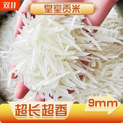 猫牙米正宗古辣香米大米广西御贡长粒象牙香米新米超长粒米饭普通