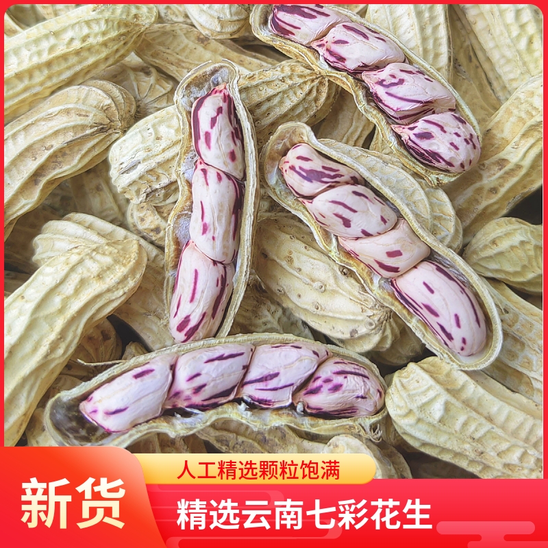 七彩花生米云南特产带壳晒干2024新货花生种粒熟原味咸干五彩花生
