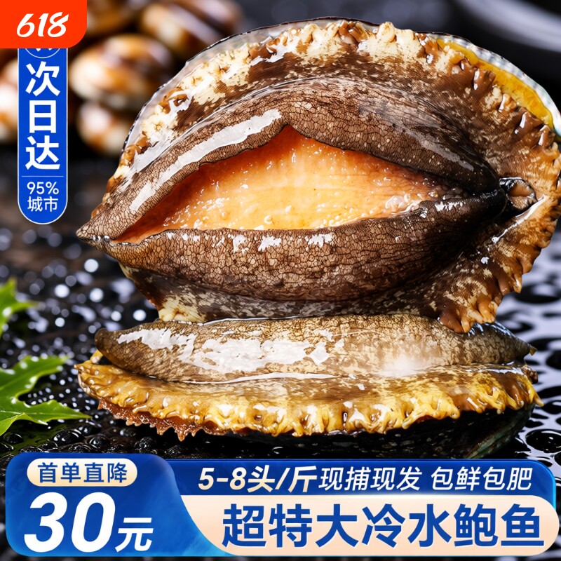 鲍鱼鲜活整只超大海鲜水产生鲜活特大冷冻加热即食干小鲍鱼捞汁饭
