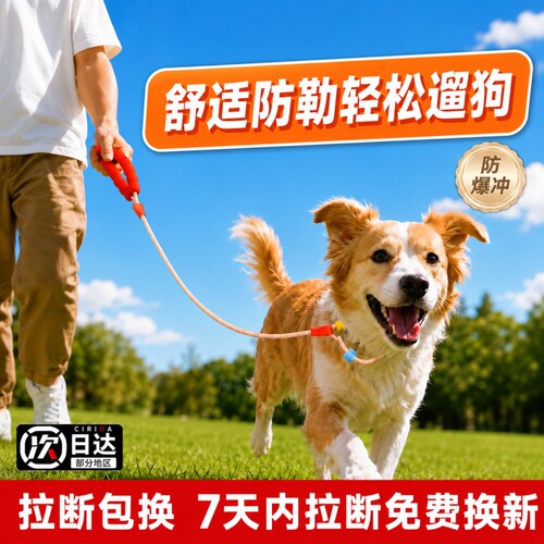 狗狗牵引绳狗绳子防爆冲遛狗脖圈泰迪金毛宠物大型中型小型犬p绳