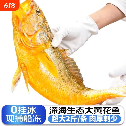 黄花鱼新鲜冷冻大黄鱼鲜活深海小黄鱼半野生年货海鲜礼盒2斤一条