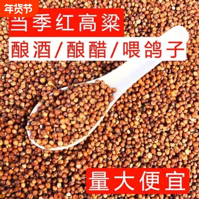 酿酒红高粱批发新高粱喂鸽子鸟食出酒率高带壳粘高粱杂粮
