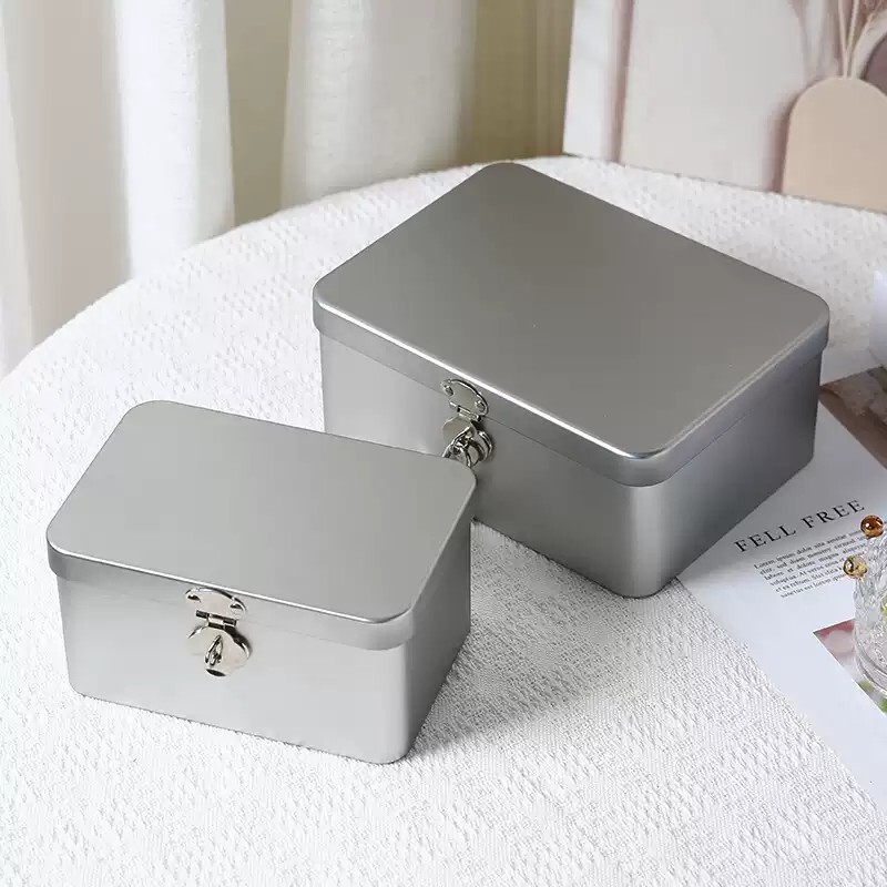 装钱箱保险盒子钥匙铁盒密码盒小箱子手机储物盒带锁存钱桌面现金