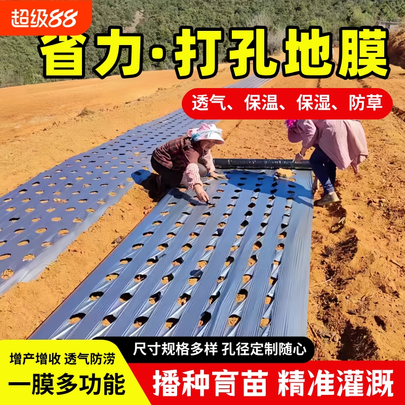 农用种植打孔地膜黑膜防草菜地玉米开孔带孔薄膜银黑地膜免打孔膜