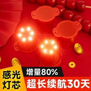 2026新款灯笼专用七彩旋转红色太阳能遥控led灯植绒电池感光感应