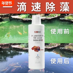 鱼缸除藻剂去水藻硝化细菌鱼池净水除绿藻除绿水亚甲基蓝水质褐藻