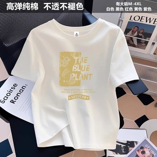 新款 短袖 高弹纯棉大码 韩版 ins潮正肩 上衣服宽松白色t恤女半袖 夏季