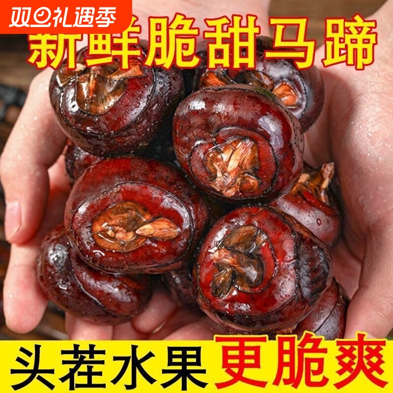 广西牛奶马蹄荸荠新鲜水果农家白马蹄即食特产孕妇当季现挖现发