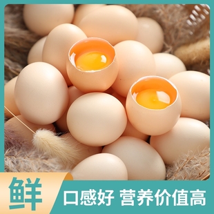 正宗新鮮谷物雞蛋農(nóng)家散養(yǎng)初生蛋柴雞蛋笨雞蛋月子送貨一顆蛋黃