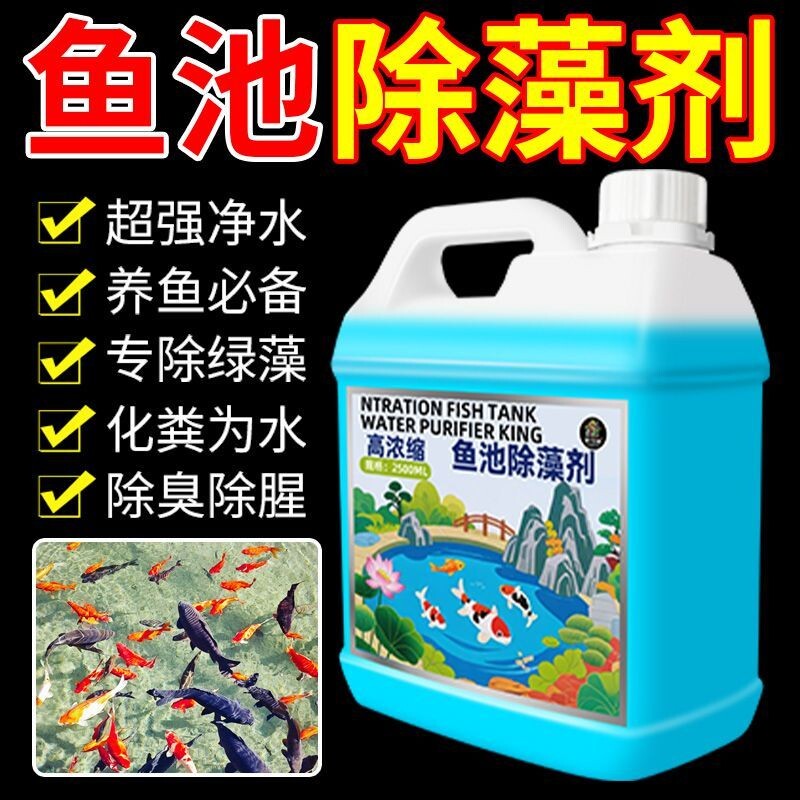 室外鱼池除藻剂净化绿藻青苔绿水黑水清洁消毒杀菌除臭庭院净水剂