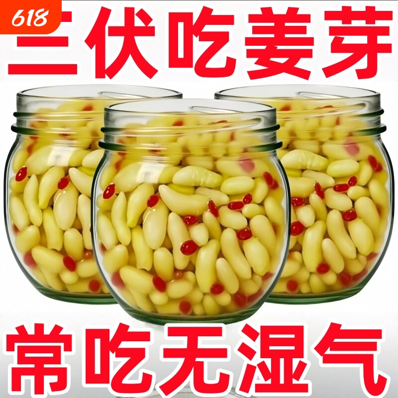 淄博枸杞泡姜芽新鲜嫩姜芽酸甜腌制特产泡菜下饭菜糖醋生姜姜片