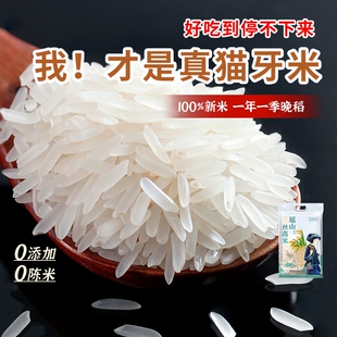瑶山正宗猫牙米长粒香大米优质当季新米农家丝苗米煲仔饭真空晚稻