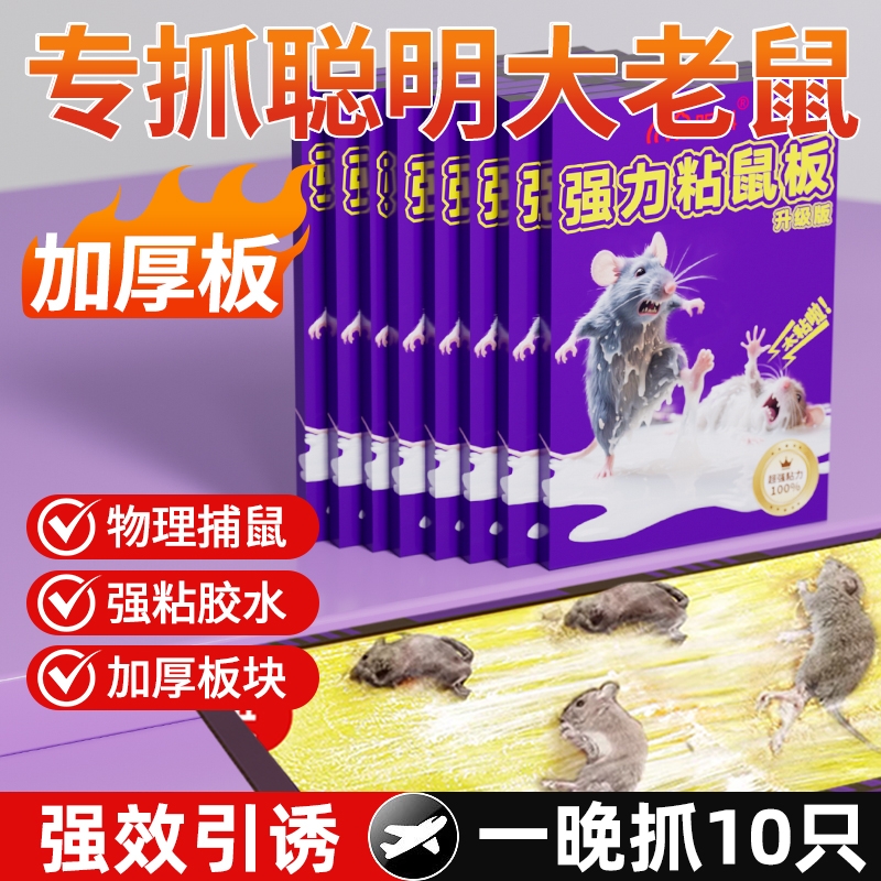 【捕鼠第一名】强力加厚粘鼠板