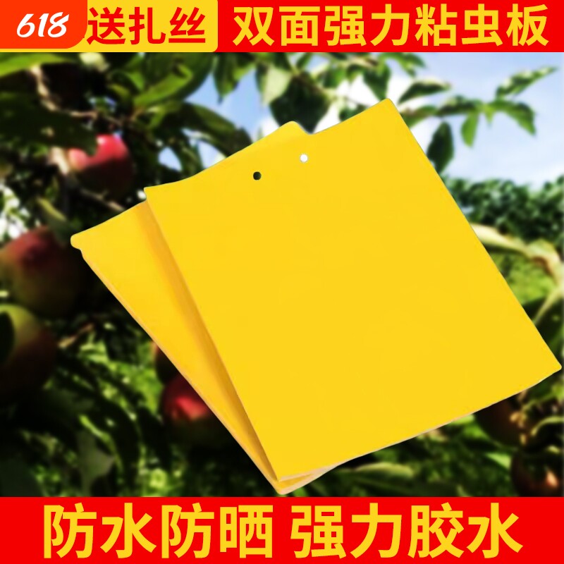 黄板双面粘虫板诱虫板贴纸灭小飞虫沾果蝇诱捕器果园蚊子苍蝇大棚