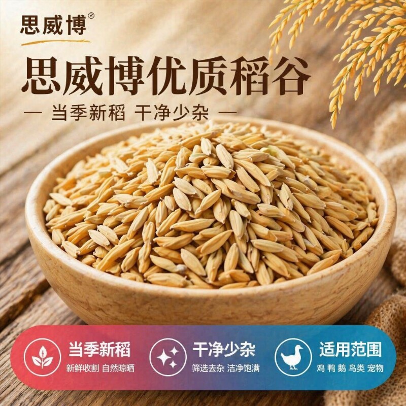 26年优质稻谷喂鸡鸭鹅鹦鹉鸽子养殖清仓便宜批发农家稻谷带壳稻谷