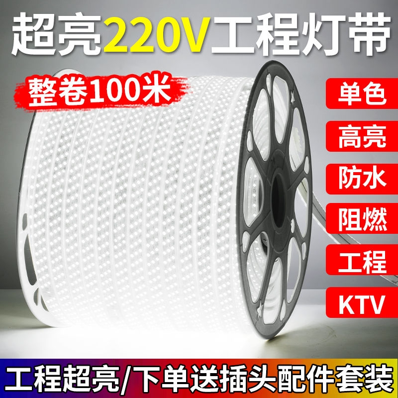 220v工程户外户外灯带白光暖光