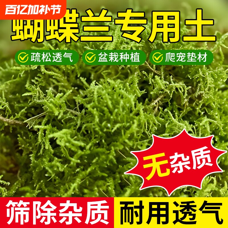 干苔藓水苔青苔兰花蝴蝶兰石斛种植专用营养土植料乌龟冬眠水台
