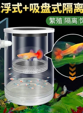 鱼缸悬浮式孔雀鱼繁殖隔离盒小鱼幼鱼苗凤尾母鱼产房漂浮孵化罐网