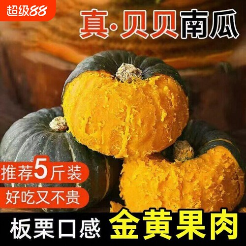 正宗贝贝南瓜板栗小南瓜