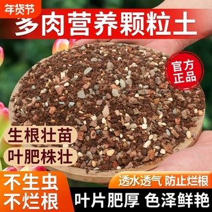 多肉专用颗粒土花土种养多肉植物营养土透气疏松仙人球土种植土肥
