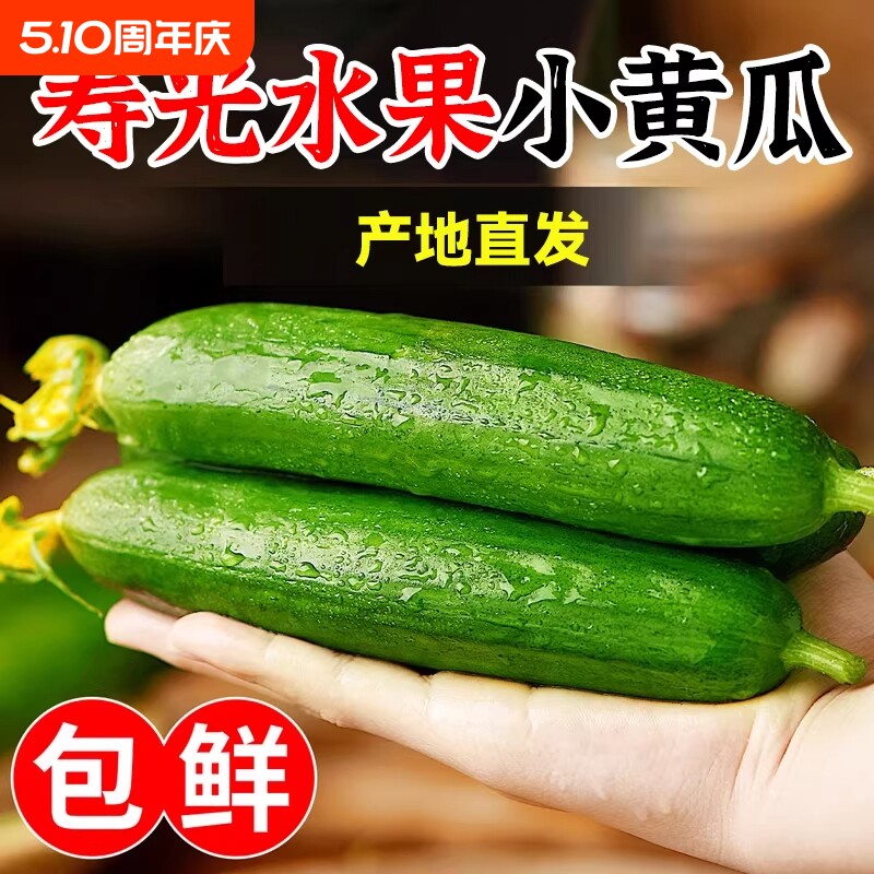 精品水果小黄瓜农家自种当季新鲜时令蔬菜寿光脆甜现摘凉拌瓜果