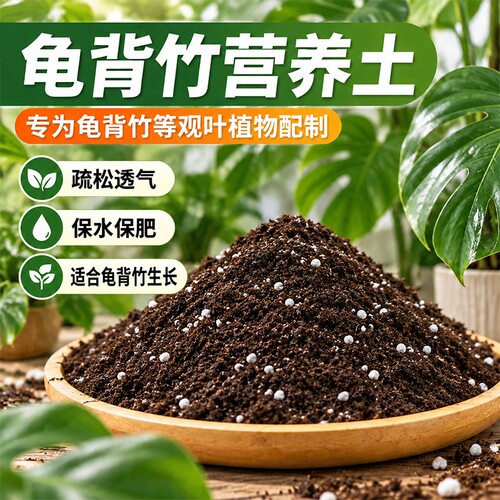 有机种植营养土龟背竹专用土