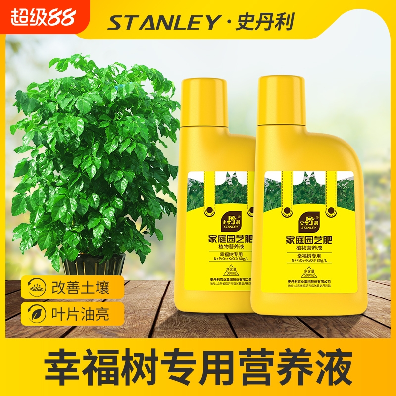 专治幸福树枯叶掉叶黄叶的营养液